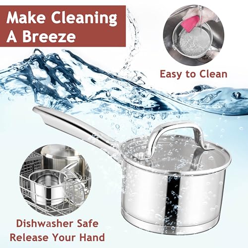 1 QT Small Saucepan with Lid (1 Quarts)