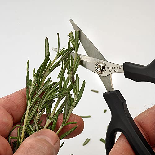 Herb Snips 6 1 (Herb Snips 6.5 Inch)