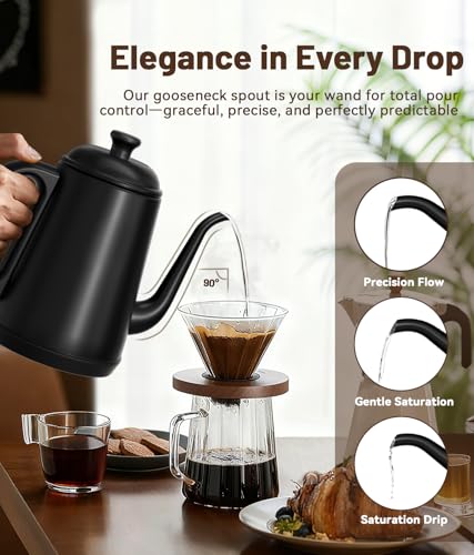 1L Gooseneck Electric Kettle for Pour Over Coffee & Tea (Black)