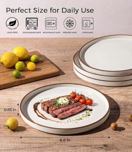 Ceramic Salad Plates Set of 6 (Dusted White-Coffee Rim / 8.0Inch-6pcs)