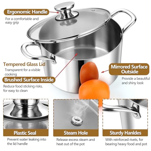 8 Quart Tri Ply Stainless Steel Stock Pot (8 Quarts)