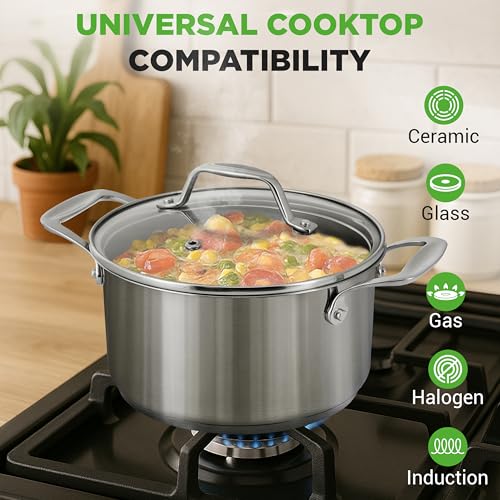 6 Quart Stainless Steel Stockpot (6 Quarts)