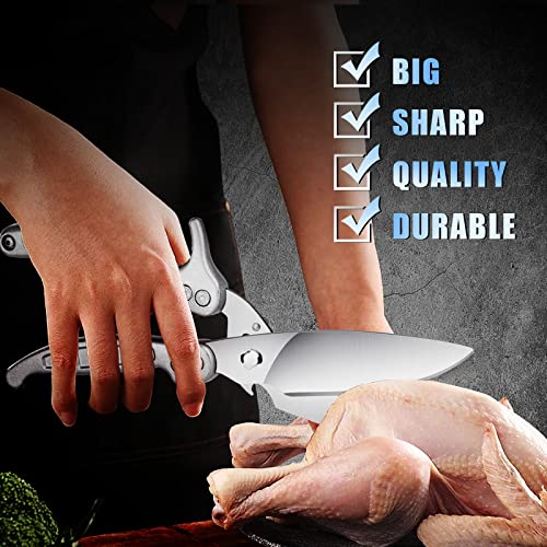 Poultry Shears (Silver)