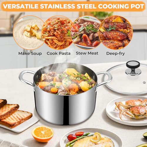 Tri Ply Stainless Steel Stock Pot (8 Quarts)