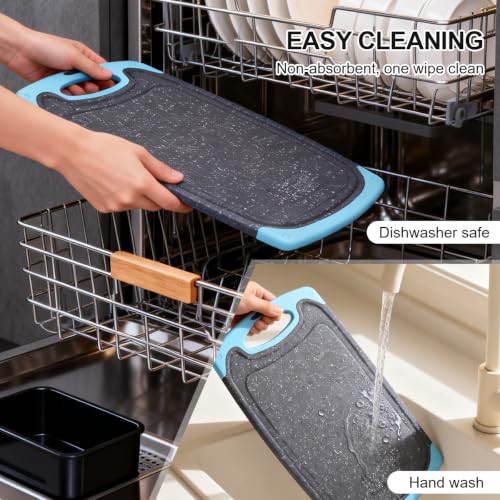 Plastic Cutting Boards for Kitchen non BPA (Aqua / Large)