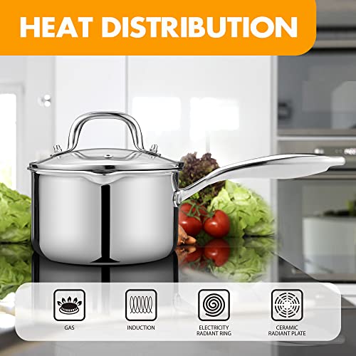 2.0 Quart Saucepan with Lid (2 Quarts)