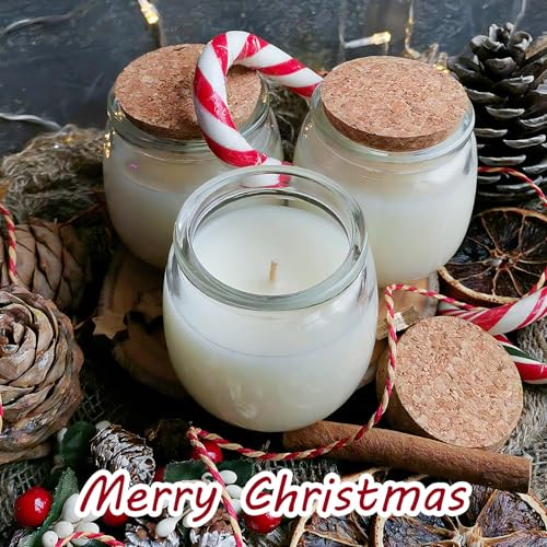 40 Pack 7oz Small Glass Jars with Cork Lids