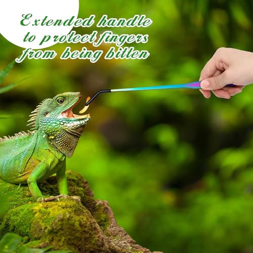 2 Pcs Extra Long Stainless Steel Reptile Feeding Tongs with Rubber Tip 10 Inch (Colorful / 10 Inch, 10.5 Inch)