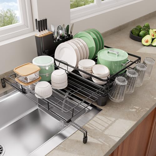 Dish Drying Rack (Black)