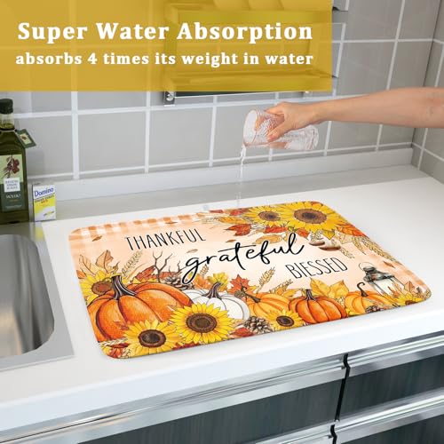 Autumn Pumpkins Dish Drying Mat for Kitchen Countertop (24" x 18")
