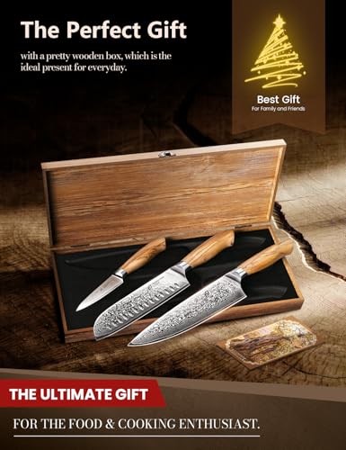 3 Piece Japanese Damascus Steel Knife Set