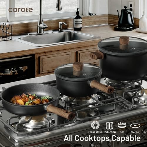 21pcs Pots and Pans Set (Black / 16 pieces)