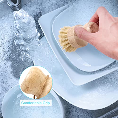 Bamboo Dish Brush Set (2p Palm+2p Sisal)