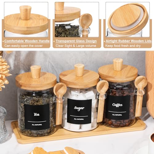 3 Pcs Glass Coffee Container Set (20 oz)