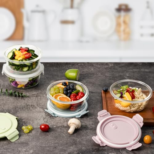 2.5 Cup 20oz Glass Meal Prep Food Storage Containers with lids Set (Multicolor+Clear / 20oz)