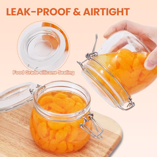 17 oz Glass Jars with Airtight Lids And Leak Proof Rubber Gasket (17oz*6-Round)