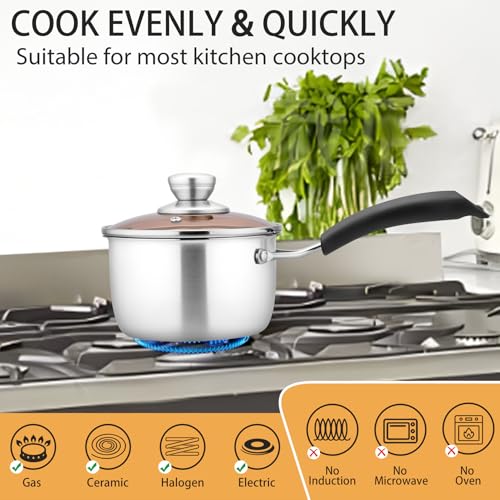 1 Quart Sauce Pan With Lid (1 Quarts)