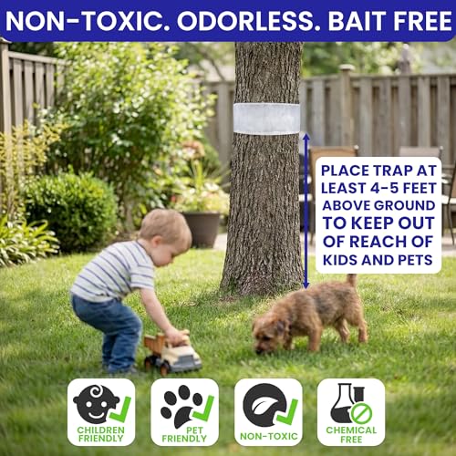 Spotted Lantern Fly Trap for Trees. 3 Sticky Fly Paper Rolls with Pins and Egg Scraper. Bug Tree Tape Wrap Ant Barrier Spotted Lanternfly Killer. Lantern Flies Tape for Trees Glue Insect Barrier