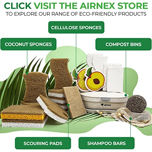 Biodegradable Natural Kitchen Sponges Pack of 6 (6 Pack)