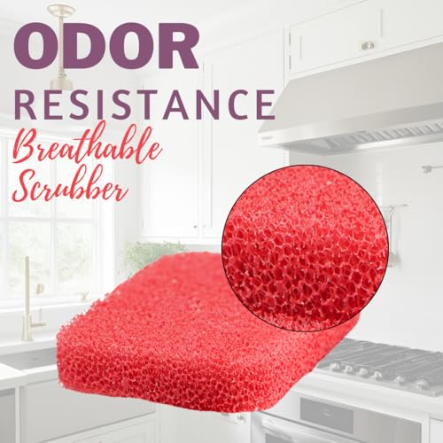 Silicone Dish Sponge Scrubbers (Pack of 3 / Fresh Berry)