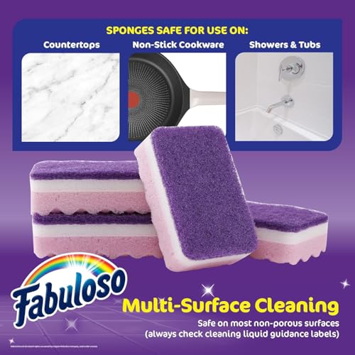 Scratch Free Kitchen Dish Sponges (Purple / 4 Count (Pack of 2))