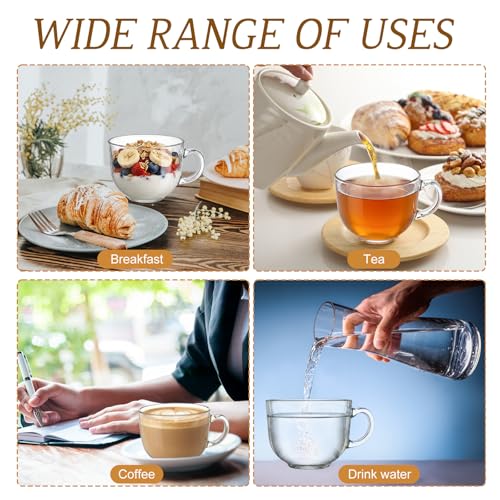 12 Pack Glass Coffee Mugs with Handles (Minimalist)