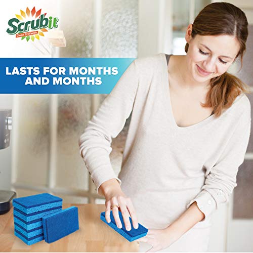 Non Scratch Cleaning Scrub Sponges (6 Count (Pack of 1))