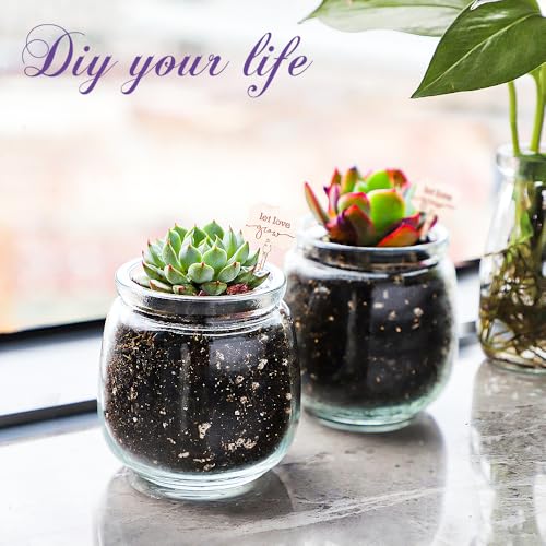 40 Pack 7oz Small Glass Jars with Cork Lids