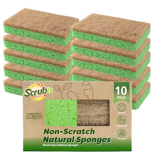Natural Sponges