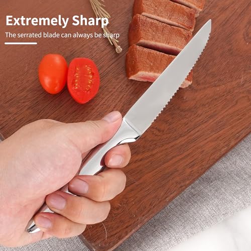 Steak Knives Set of 12 (Only Knives / Silver for 12)