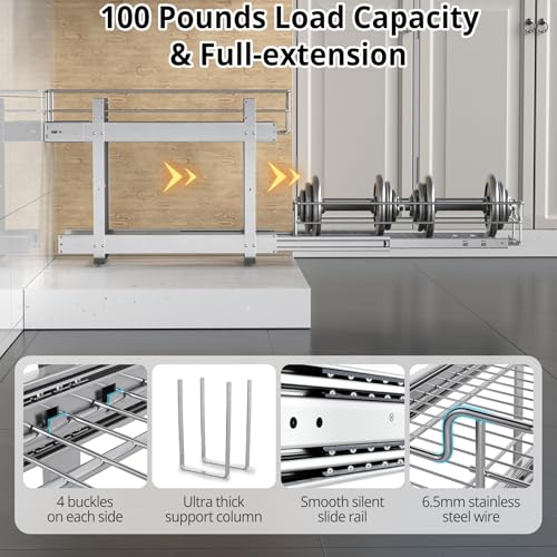 Pull Out Cabinet Organizer (2-Tiers 9¼"W x 22"D)
