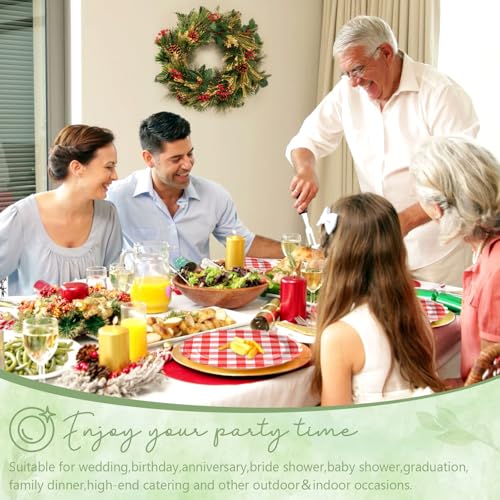 75 Red Gingham Paper Plates and Napkins Disposable for Picnic (Red Gingham 75 Plates Set / 7-inch Set)