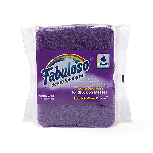 Scratch Free Kitchen Dish Sponges (Purple / 4 Count (Pack of 2))