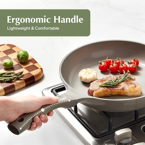 Nonstick Frying Pan Skillet (Gray / 9.5inch Frying Pan)