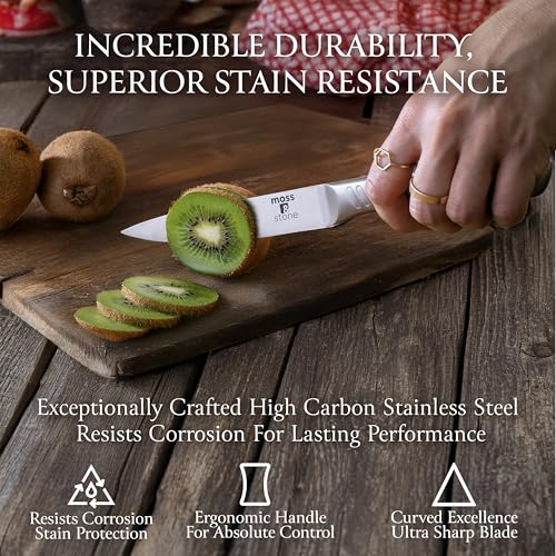 Small 6 Pcs Kitchen Knife Set with Block (6 Pcs / Stainless Steel)