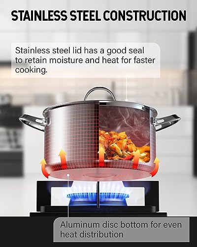 6 Quart Stainless Steel Stock Pot (6 Quarts)