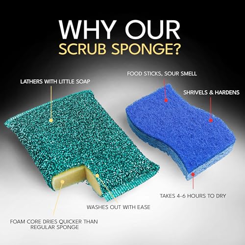 Dish Sponges for Kitchen (Splendid Scrub Sponge 3pk)