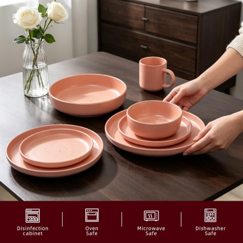 HomeVSS 20 Piece Dinnerware Set (Service for 4 - 20pc Set / Matte Rose)