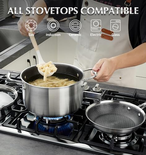 Triply Stainless Steel Pot 6 Quart (6 Quarts)