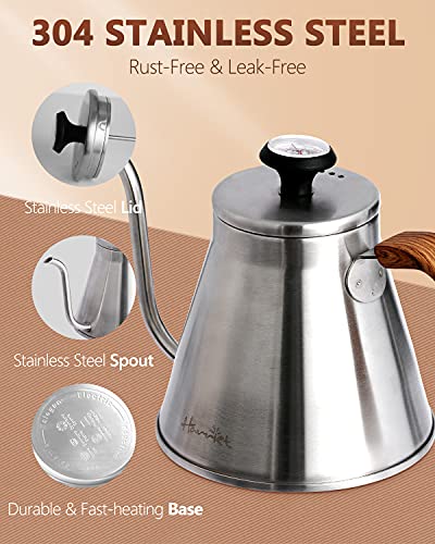 Gooseneck Kettle with Thermometer for Pour Over Coffee and Tea (Silver)