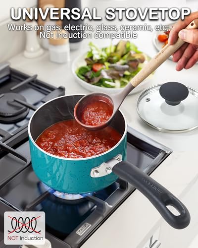 Basic 2 Quart Nonstick Saucepan with Glass Lid (2 Quarts / Turquoise)
