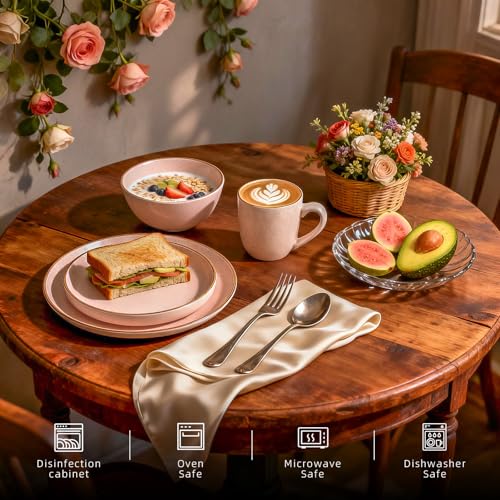 HomeVSS 20 Piece Dinnerware Set (Service for 4 - 20pc Set / Peach)