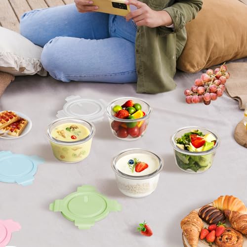 2Cup 16oz Glass Food Storage Containers with Lids (Multicolor+Clear / 16oz)