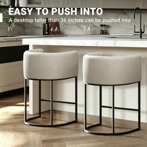 26" H Counter Height Bar Stools Set of 2 (Grayish White / Set of 2)
