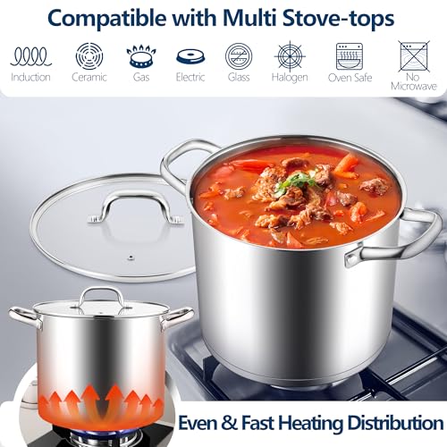 10 Quart Pot Stainless Steel Stock Cooking Pot with Glass Lid for Soup Canning Stewing Simmering (10 Quarts)