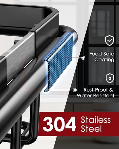 Dish Drying Rack in Sink (Black / Standard - 15.4" × 9.8" × 3")