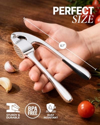 Premium Garlic Press Set (Large | Chrome)