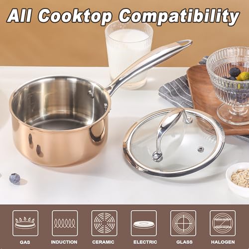 1 Quart Saucepan with Lid (Copper Tone / 1 Quarts)