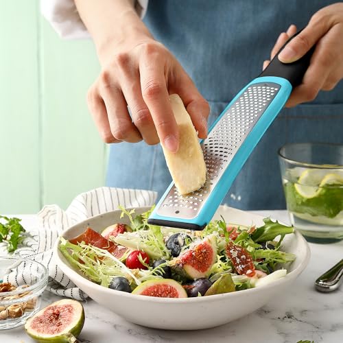 Stainless Steel Lemon Zester (Aqua Sky)