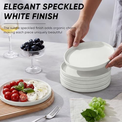 7.9 Inch Ceramic Dinner Plates (Speckled White / 7.9'')